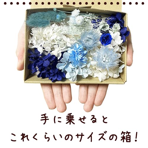 Amazon | プリザーブドフラワー 花材 小分け 詰め合わせ セット パーツ